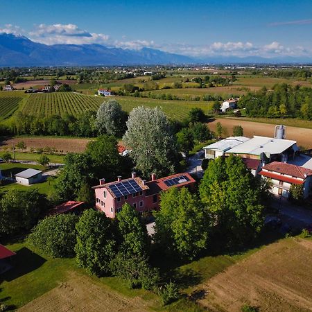 Casa Carrer B&B San Giovanni di Livenza Eksteriør billede